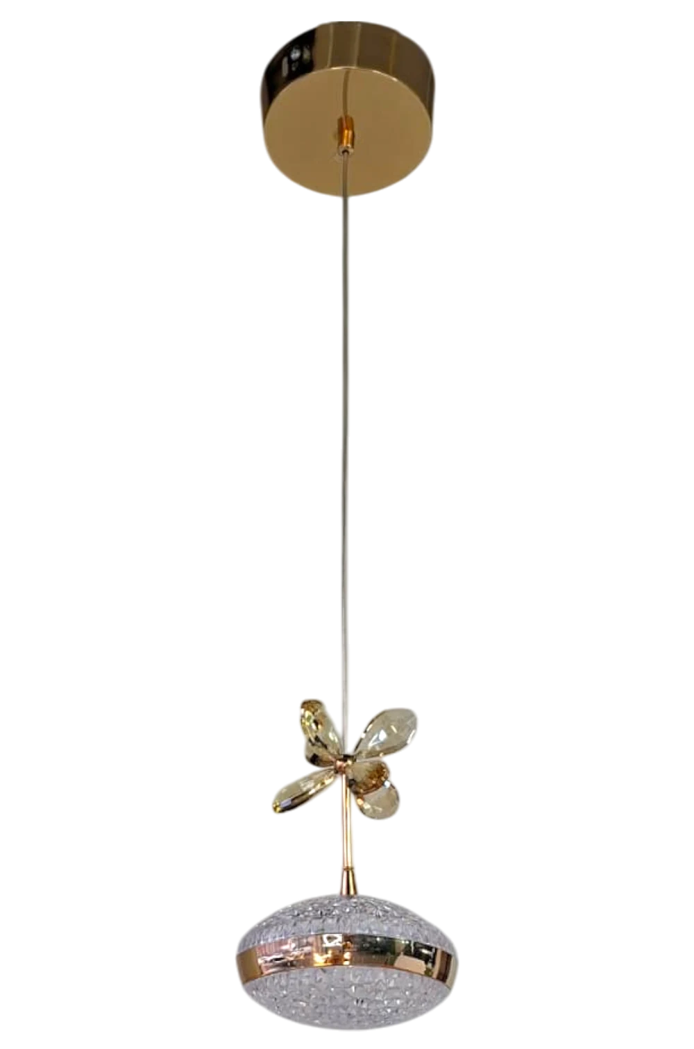 ERV-5006-1